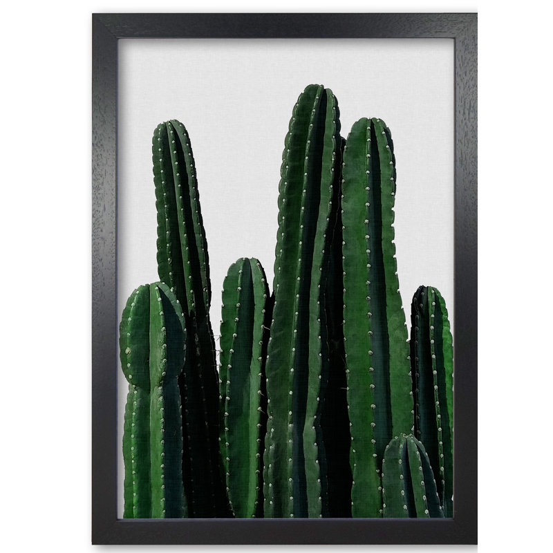 Cactus I - Print, Black Grain Frame, 85 cm H x 60 cm W x 5 cm D