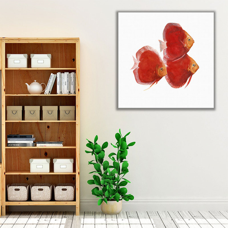Discus Fish VI - Canvas Print Wall Art, 12" H x 12" W