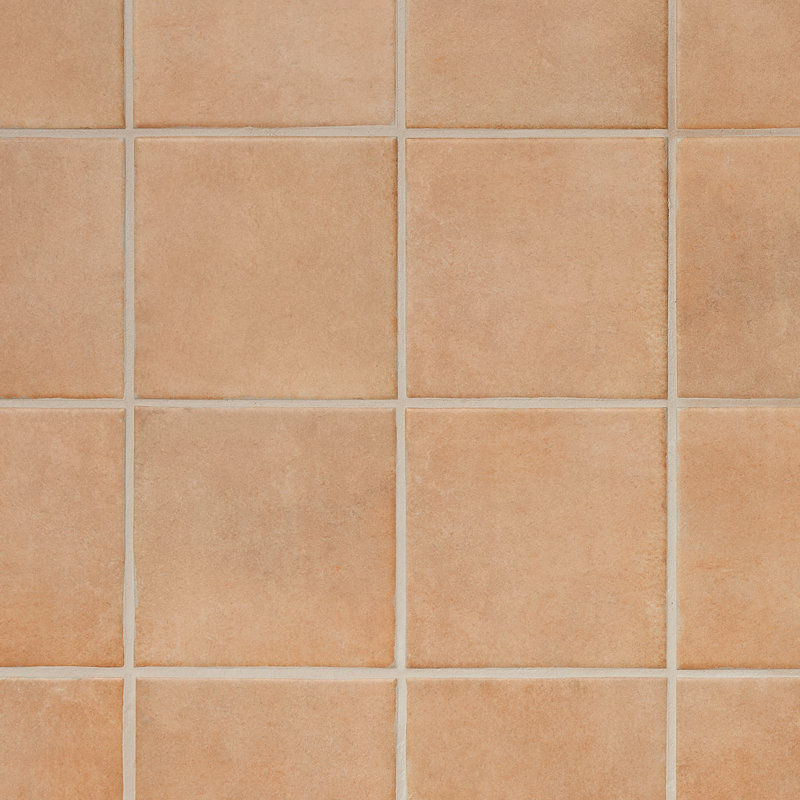 Essa 6x6 Terracotta Look Matte Porcelain Floor and Wall Tile, Terracotta