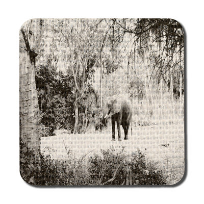 Square 6 Piece Coaster Set
