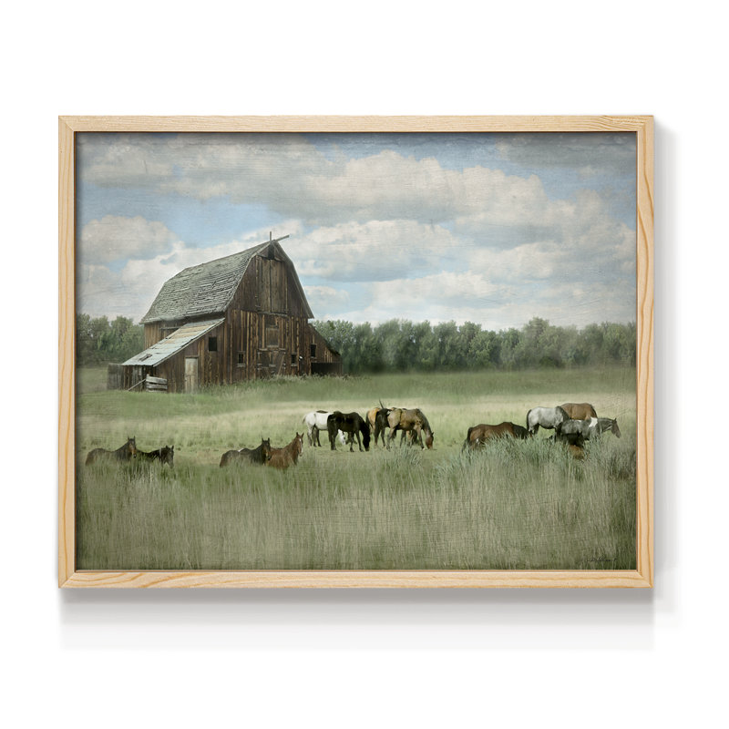 Serenity Pasture -Framed Print - Restickable, Natural, 22" H x 28" W
