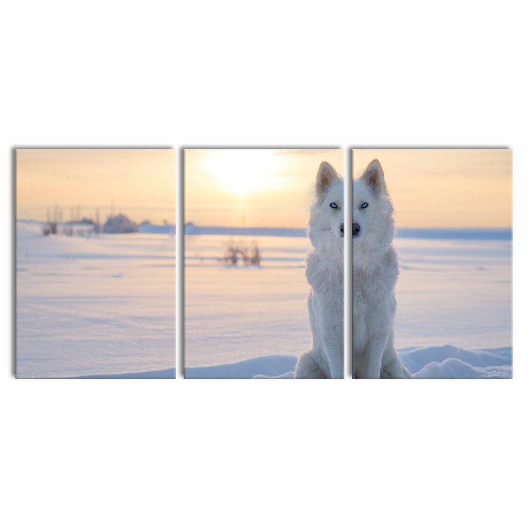 3-tlg. Leinwandbild Weißer Wolf im Schnee