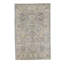 Wool Oriental Area Rug in Ivory