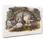 Canadian Lynx by J.W. Audubon - Wrapped Canvas-55370910