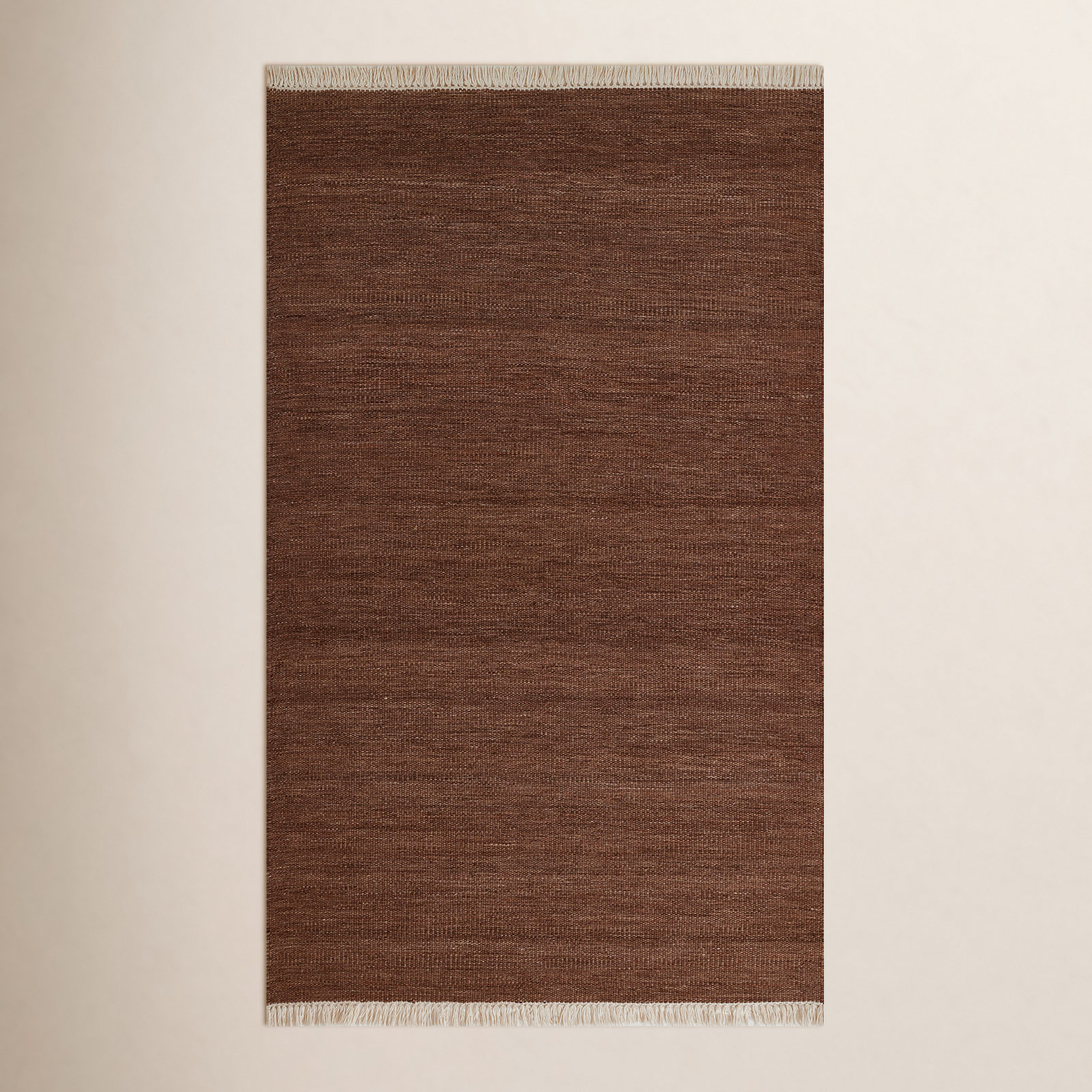 Cassandra Brown Hand-Woven Outdoor Rug, Rectangle 10' x 14'