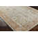 Jillia Oriental Indoor Rug