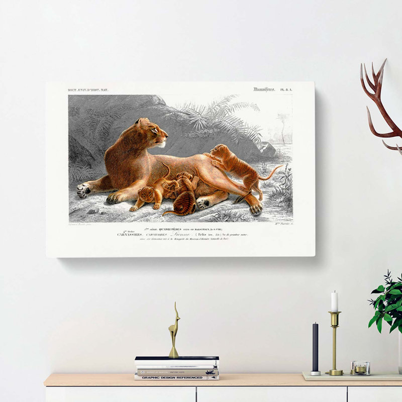 African Lion with Cubs - Wrapped Canvas, 35cm H x 50cm W x 3cm D