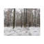 Wall Art on Canvas-2128236316