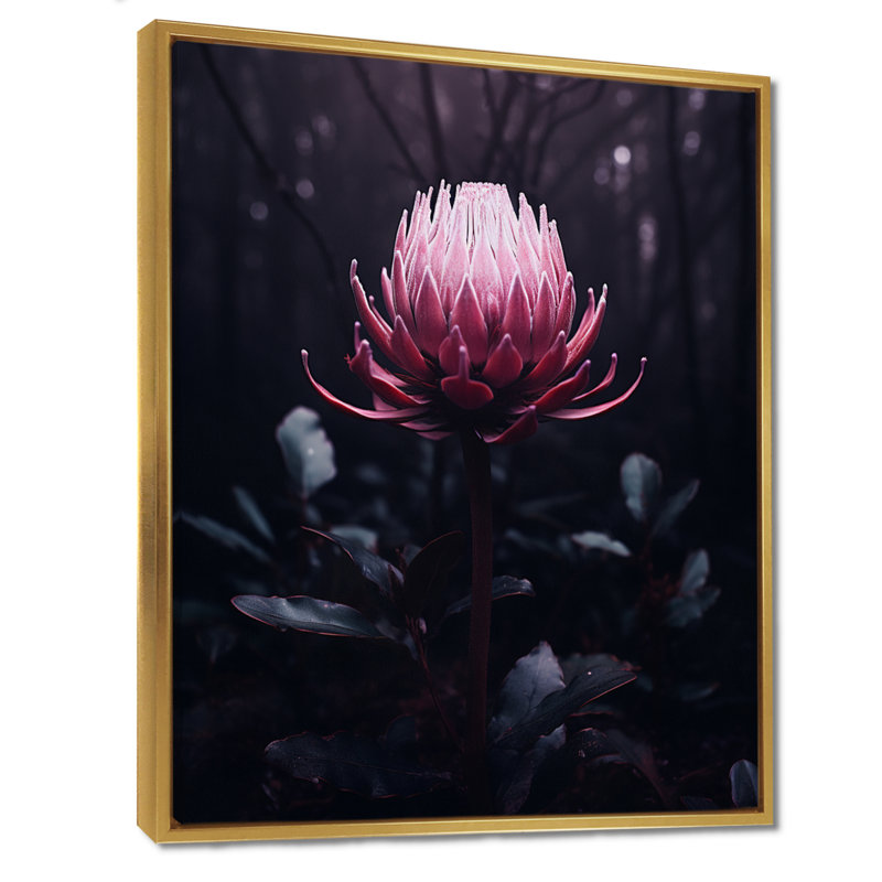 «Rose Protea Forest Flower - Autre plante et fleurs», art mural, Toile avec cadre flottant or, H 20 po x l 12 po x P 1 po