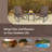 2 - Person Patio Conversation Set with Cushions-1579901682