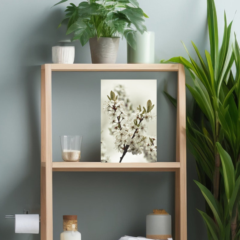 White Spring Blossoms by Christina Sillen - Wrapped Canvas Print, 152.4 cm H x 101.6 cm W