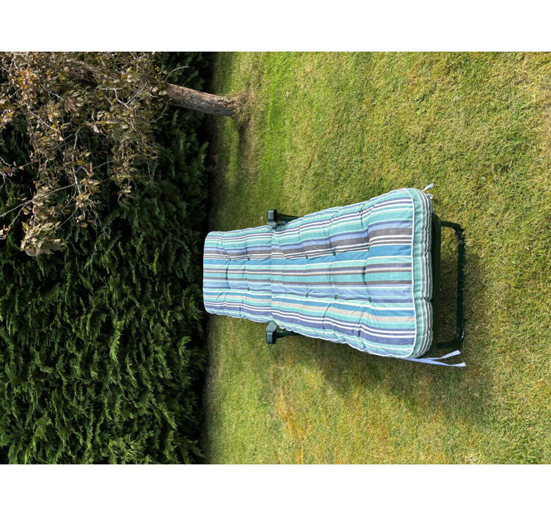 Cersten Steel Outdoor Lounge Chair, Blue, Green