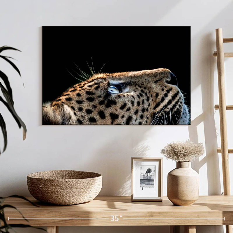 Brampt Leopard Looking Up, 16" H x 24" W