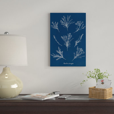 « délicat corail i », impression sur toile