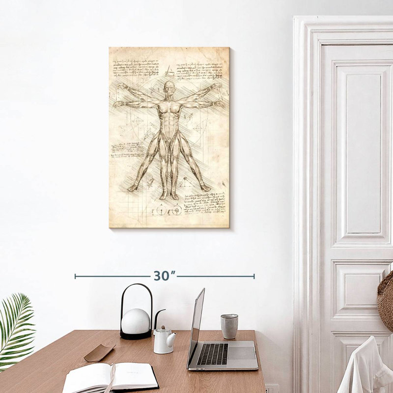 Keiri Vitruvian Man, 30" H x 20" W