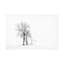 Art sur toile «Bachelo Daan Meeusen»-109226005