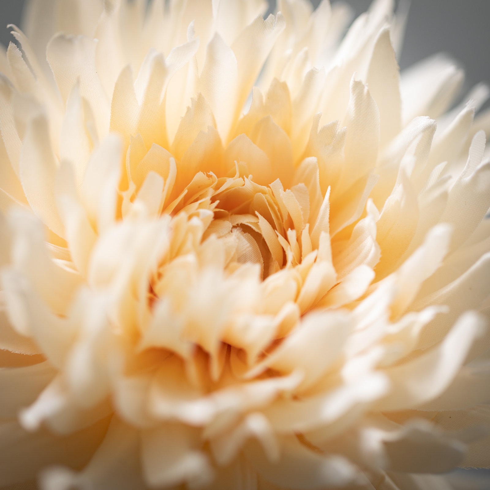Nod To Nature Blossoming Dahlia Stem, Cream