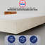Lit plateforme tapissier Allondra-1284850011-1284850009