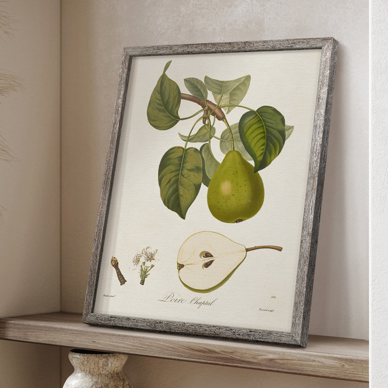 Vintage Pears VI, reproduction encadrée - bois massif, H 15 po x l 12 po