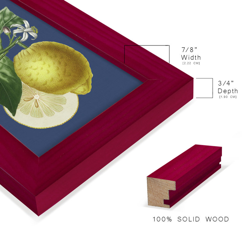 «Camargue French Lemon On Navy I», impression sur papier, Rouge cerise, H 9 po x l 7 po x P 1 po