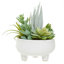 24cm Faux Succulent in Ceramic Pot