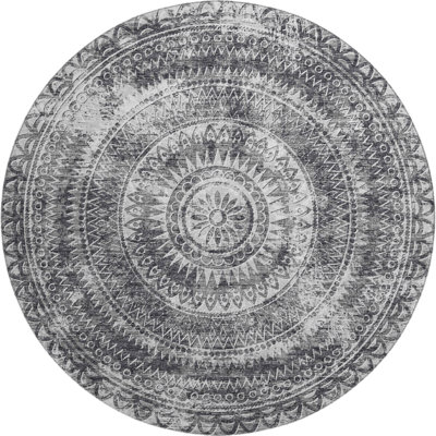 Premium Machine Washable Paullette AMF113 Rug