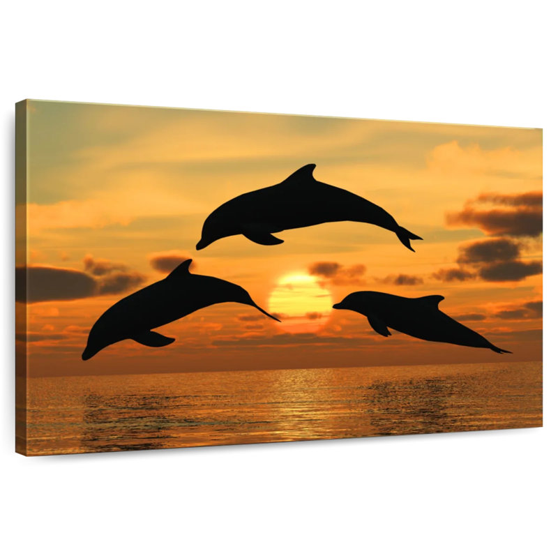 Dauphins volants Brampt, H 16 po x l 24 po