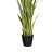 Artificial Sansevieria Snake Plant in Pot-444651819-527668328