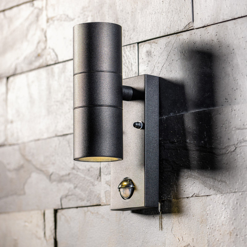 Brandais 22cm H Outdoor Wall Lantern, Black Stainless Steel