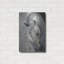 «Shy Gray No Tear» par Albena Hristova, art mural en métal-587053444