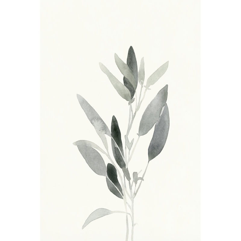 Delicate Sage Botanical IV by Emma Caroline - Wrapped Canvas Print, 30cm H x 20cm W