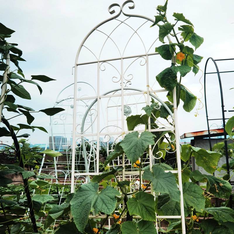 Ensemble de 2 treillis de jardin en métal 86,7 po x 19,7 po, antirouille blanc crème, supportant les plantes grimpantes telles que Morning Glory, jasmin, pois, rose facile à assembler, raisin, concombre