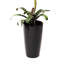 Pot de fleurs en plastique avec réservoir-87829414