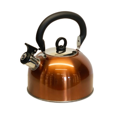 Buckingham Camping Whistling Kettle Stainless Steel with Heat-Resistant Handle 2.5 Litres