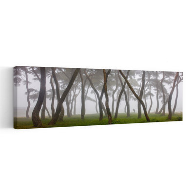 Art mural paysage de forêt de pin brumeux