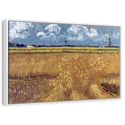 Champ de blé avec réas