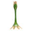 Candlestick-83761755