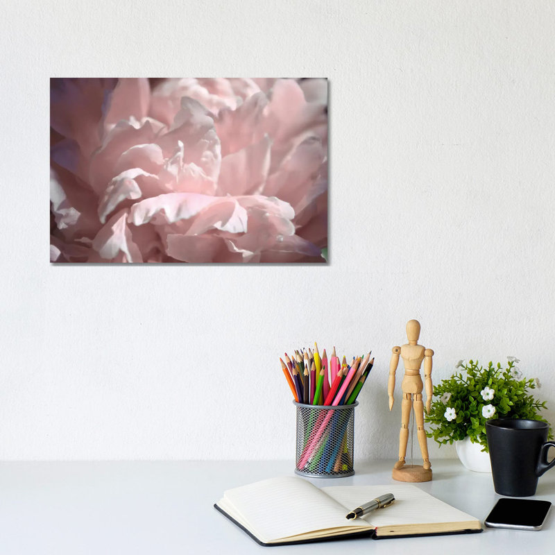 Velvet Peony II 1 Piece Wrapped Canvas Wall Art, 20.32cm H x 30.48cm W x 1.905cm D
