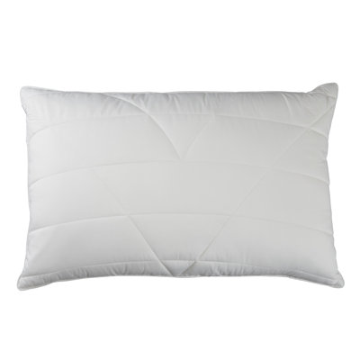Hollander L75 x W50cm Pillow