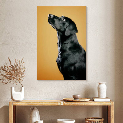 Chien noir obéissant Brampt
