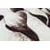 Viers Performance Floral Indoor Rug