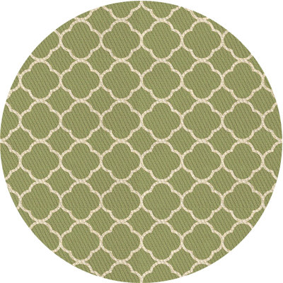 Indoor Rug