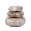 Petrified Wood Organic Sculpture-436953486