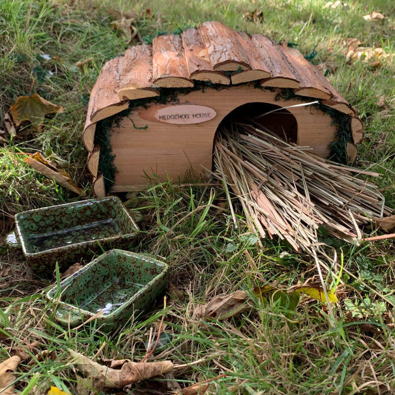3 Piece Ceramic Food, Water Dish, Nesting Straw Freestanding Hedgehog House Set