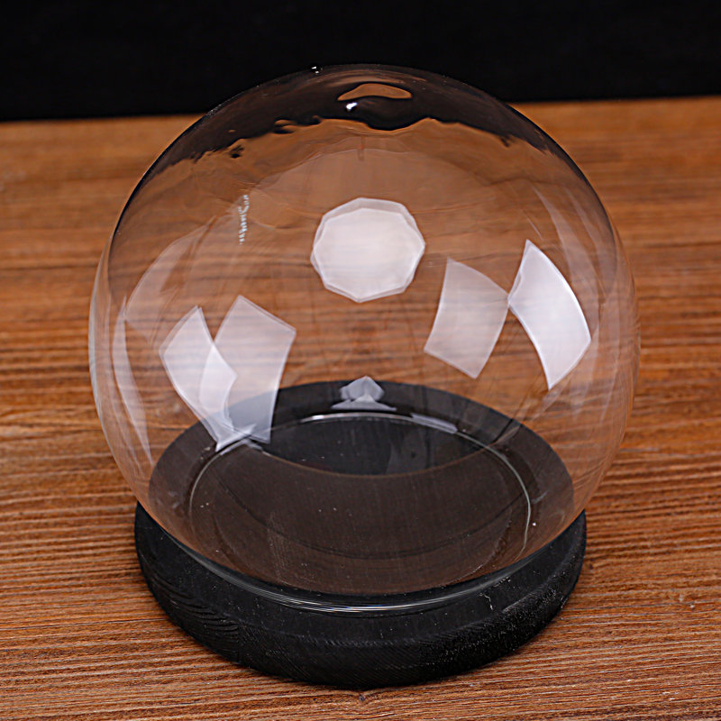 Terrarium Cloche with Wood Base