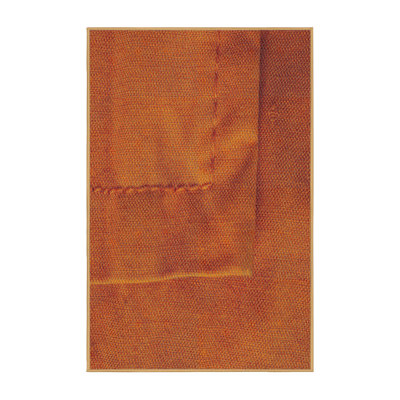 Indoor Rug