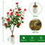 Arrangement-1975204038