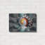 «Shell Spiral» par Dennis Frates-1898737054