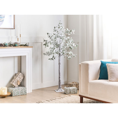 150cm Plant