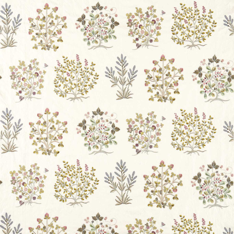 Highgrove Thyme Walk